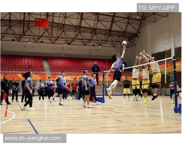 武汉排球队排球战术创新高引领全国潮流展现竞技新风貌